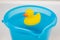 Yellow rubber duck in a blue bucket