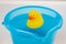 Yellow rubber duck in a blue bucket