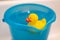 Yellow rubber duck in a blue bucket full of water