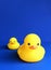 Yellow rubber duck and duckling, mother and child