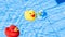 Yellow rubber duck. Funny kids inflatable red and blue toy float in water of summer pool. Funny bird toy for kids