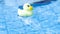 Yellow rubber duck. Funny kids inflatable toy float in blue water of summer pool. Funny bird toy for kids