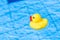 Yellow rubber duck. Funny kids inflatable toy float in blue water of summer pool. Funny bird toy for kids