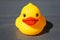 Yellow rubber duck isolated on gray background