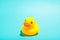 Yellow rubber duck organized on blue background