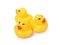 Yellow rubber duck toy