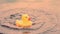 Yellow rubber duck toy falls in water, drops splatter