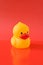 yellow rubber duckling