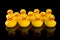 Yellow Rubber Ducks in Rows
