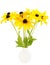 Yellow rudbeckia flowers in ceramic vase