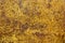 Yellow Rust Background Texture