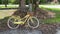 A yellow rusted vintage bicycle leaning up against a tree on a farm