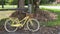 A yellow rusted vintage bicycle leaning up against a tree on a farm