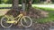 A yellow rusted vintage bicycle leaning up against a tree on a farm