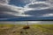 Yellow sailboat on the shoal in the port in Findhorn, Scotland