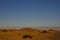 Yellow sand on desert landscape. Panorama view. Fuerteventura, Canary islands