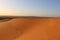 Yellow sand dunes at sunset in the Algerian desert Timimoun