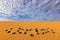 Yellow sand. Summer dry landscape in Africa. Black pebble stone.