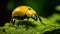 yellow scarab beetle on green leaf, AI Generative