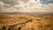 yellow scenic landscape with distant mountains