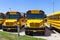 Yellow School Bus