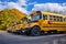 Yellow school buses