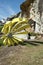 Yellow Sculpture by the Sea Bondi Beach