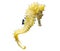 Yellow seahorse