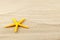 Yellow seastar.