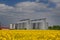 Yellow seed field with silos