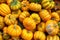 Yellow Shade Pumpkins Group Crate Small Multiple Shaped Sale Fall Autumn Season