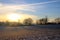 Yellow shadows on snowy field