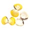 Yellow shells of Corbicula fluminea  freshwater clam isolated on white