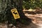 Yellow sign Do not feed the moose ontario canada algonquin national park