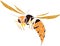 Yellow silhouette of flying European hornet Vespa crabro
