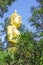 Yellow sitting Budha image