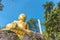 Yellow sitting Budha image with blue sky