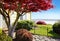 Yellow small home with water view and red maple.