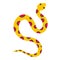 Yellow snake with pink spots icon isolated