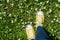 Yellow sneakers in a dasiy field. First person view