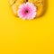 Yellow sneakers and pink gerbera flower. Minimal layout for social networks with place for text or product