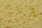 Yellow sponge detail texture background
