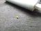 Yellow spotless ladybird