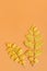 Yellow sprigs leaves autumn orange paper background