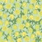 Yellow spring flowers globeflower, seamless