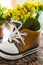 Yellow spring flowers in a shoe decorated vase