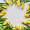 Yellow Spring Tulips Botanical Art Round Frame