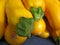 Yellow squash