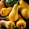 Yellow squash fresh raw organic vegetable
