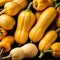 Yellow squash fresh raw organic vegetable